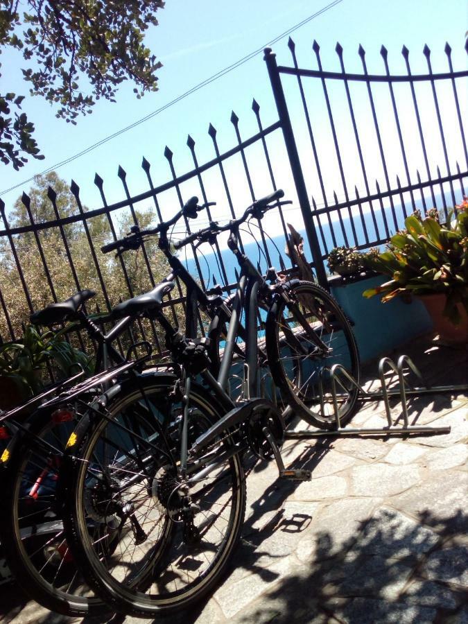 ca del pescatore Cervo Esterno foto